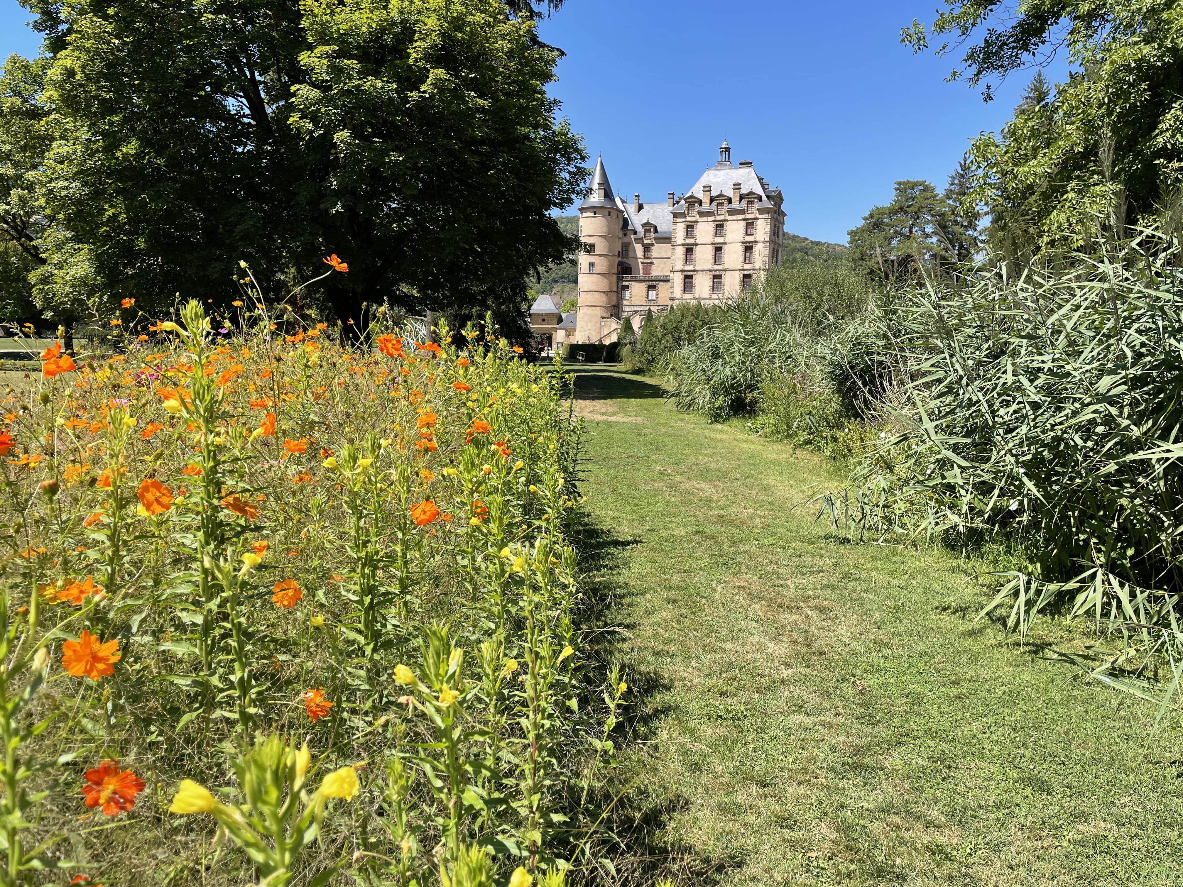 Photo n° 3 de l'avis de Sébastien.Y fait le 04/08/2022 à 11:06