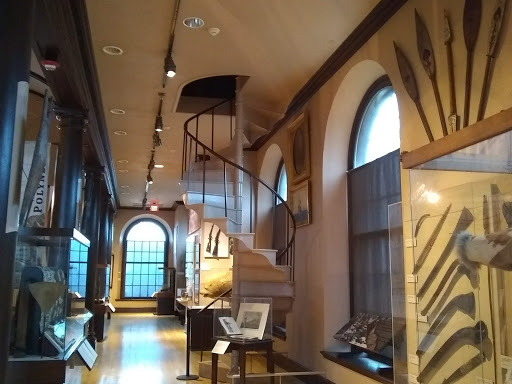 Museum «New Bedford Whaling Museum», reviews and photos, 18 Johnny Cake Hill, New Bedford, MA 02740, USA