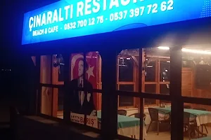 Eşkel Çınaraltı Pansiyon restoran image