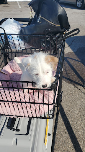 Pet Supply Store «Petco Animal Supplies», reviews and photos, 244 Pioneer Trail, Chaska, MN 55318, USA