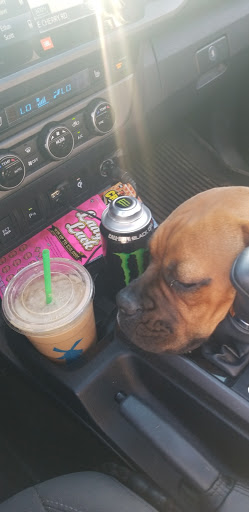 Coffee Shop «Dutch Bros Coffee», reviews and photos, 5980 AZ-69, Prescott Valley, AZ 86314, USA