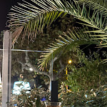 Photo n° 3 de l'avis de anahe. fait le 29/10/2023 à 18:02 pour Le Bougainvillee à Le Lavandou