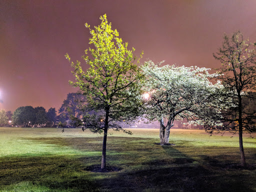 Park «Dunham Park», reviews and photos, 4638 N Melvina Ave, Chicago, IL 60630, USA