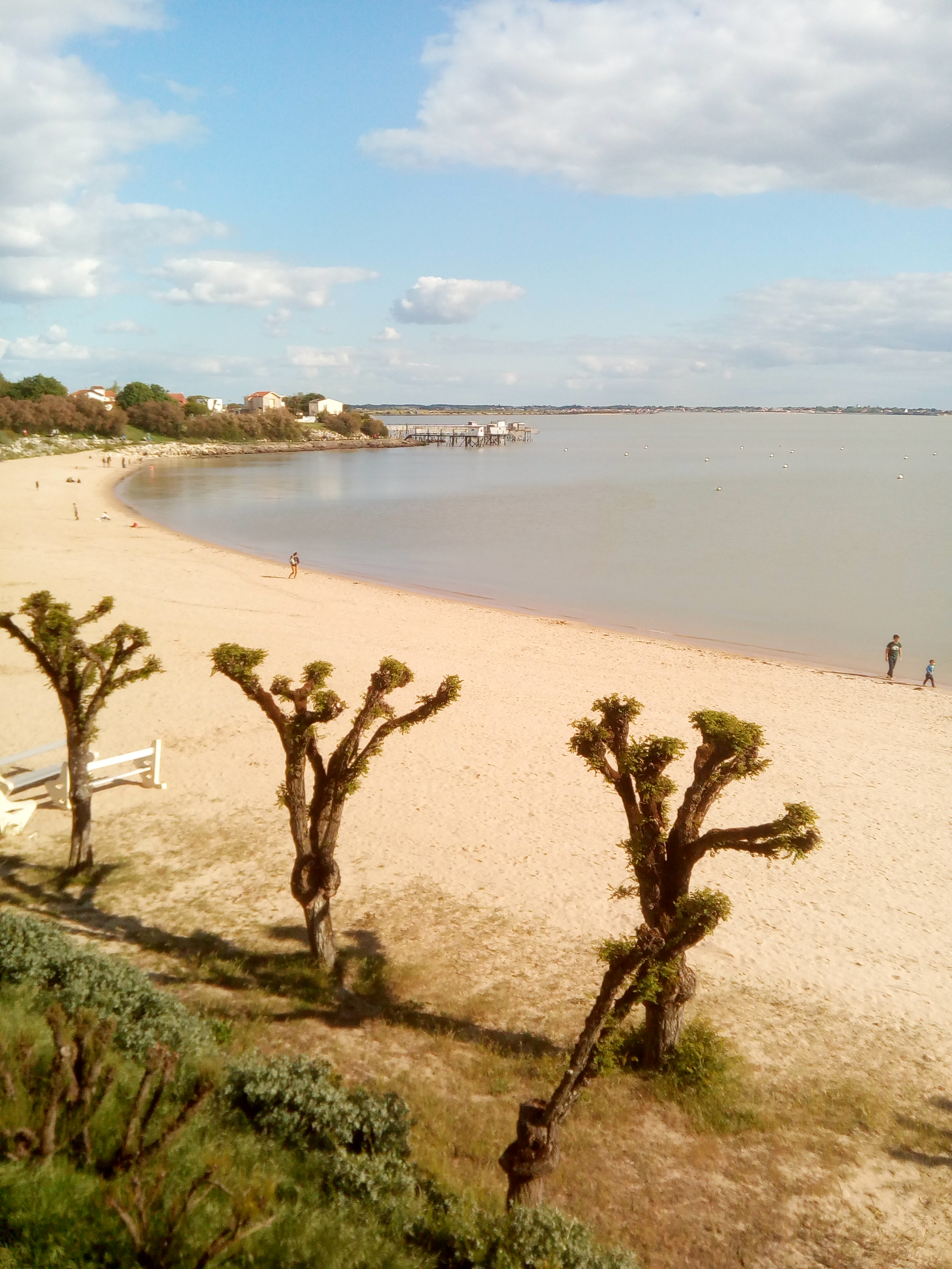 Photo n° 10 de l'avis de Marco.a fait le 11/05/2019 à 14:15