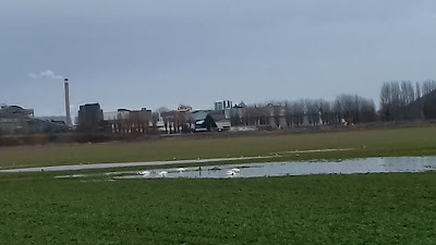 STI Denise à Igoville