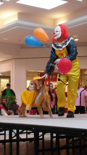 Shopping Mall «Palmer Park Mall», reviews and photos, 123 Palmer Park Mall, Easton, PA 18045, USA