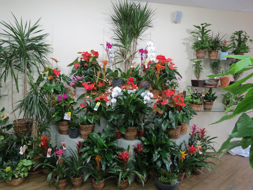 Florist «Casas Adobes Flower Shop», reviews and photos, 7090 N Oracle Rd #194, Tucson, AZ 85704, USA