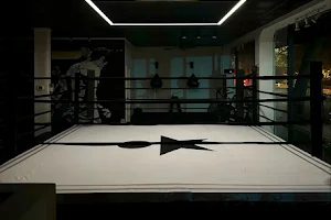Star Method Boxing image