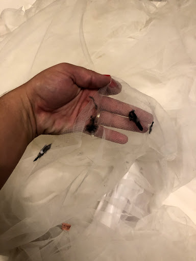 Dry Cleaner «Dry Cleaning Station,», reviews and photos, 9740 Wadsworth Pkwy, Westminster, CO 80021, USA