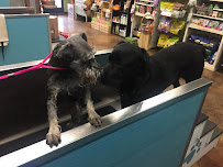 The Village Mutt - Photo 7 - Car repair in Claremont, CA, Rancho Cucamonga