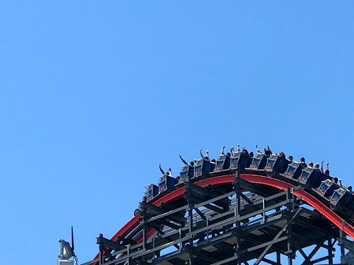 Roller Coaster «Wicked Cyclone», reviews and photos, Main St, Agawam, MA 01001, USA