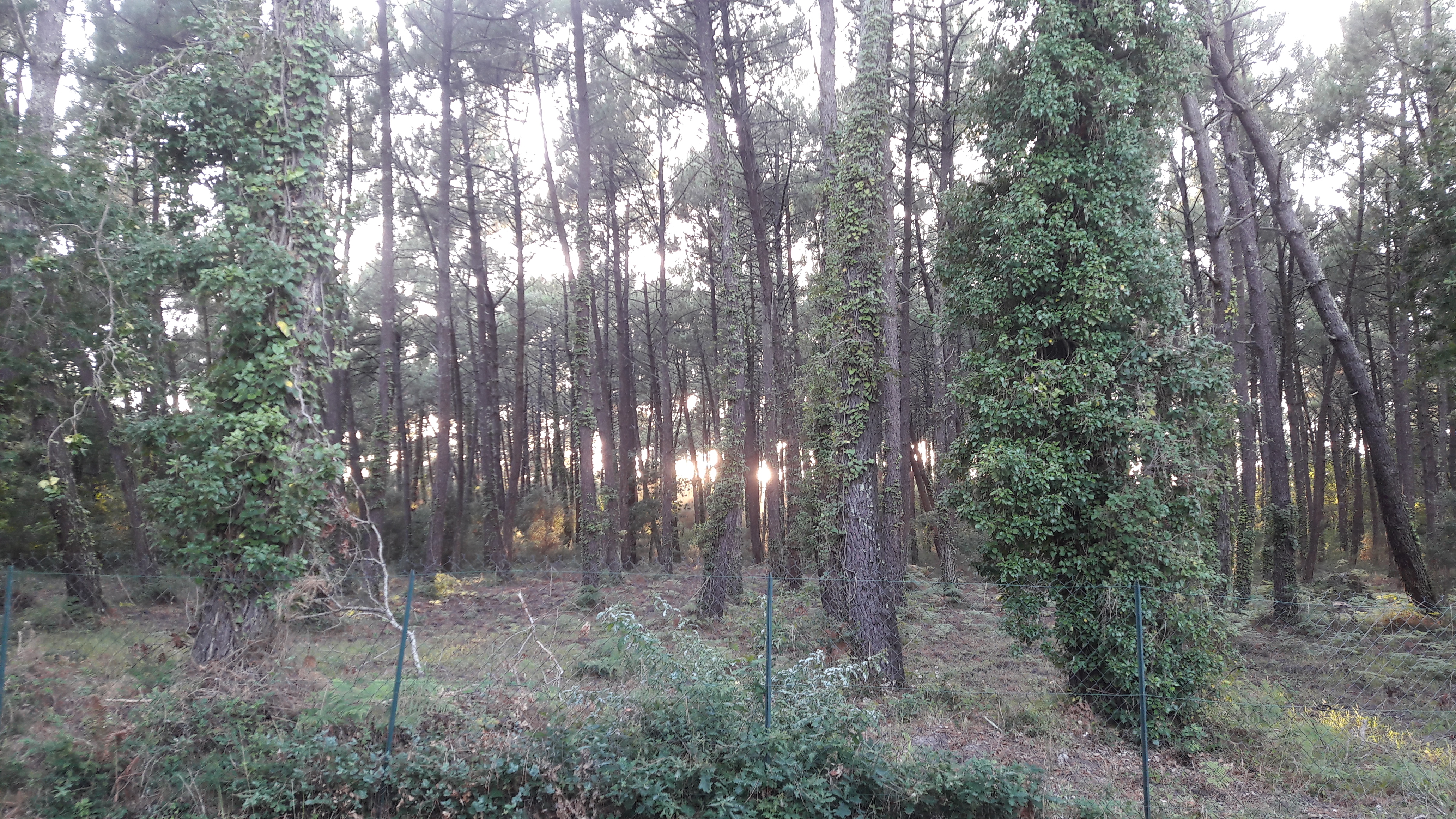 Photo n° 1 de l'avis de Michel.o fait le 21/08/2017 à 12:11