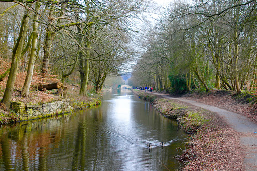 Calder and Hebble Navigation