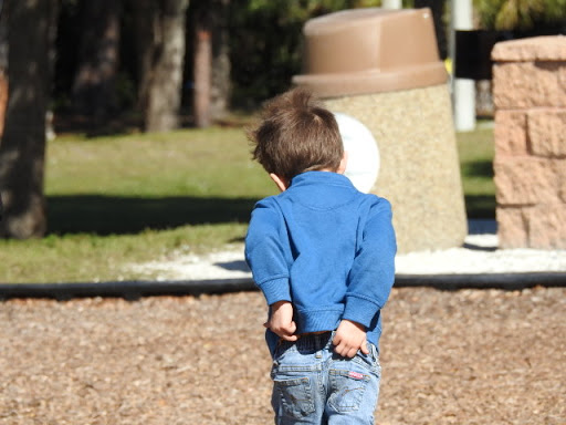 Recreation Center «Estero Recreation Center», reviews and photos, 9200 Corkscrew Palms Blvd, Estero, FL 33928, USA