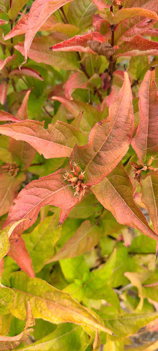 Farm «Four Town Farm», reviews and photos, 90 George St, Seekonk, MA 02771, USA