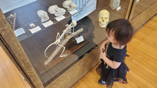 Museum «Rutgers Geology Museum», reviews and photos, 85 Somerset St, New Brunswick, NJ 08901, USA