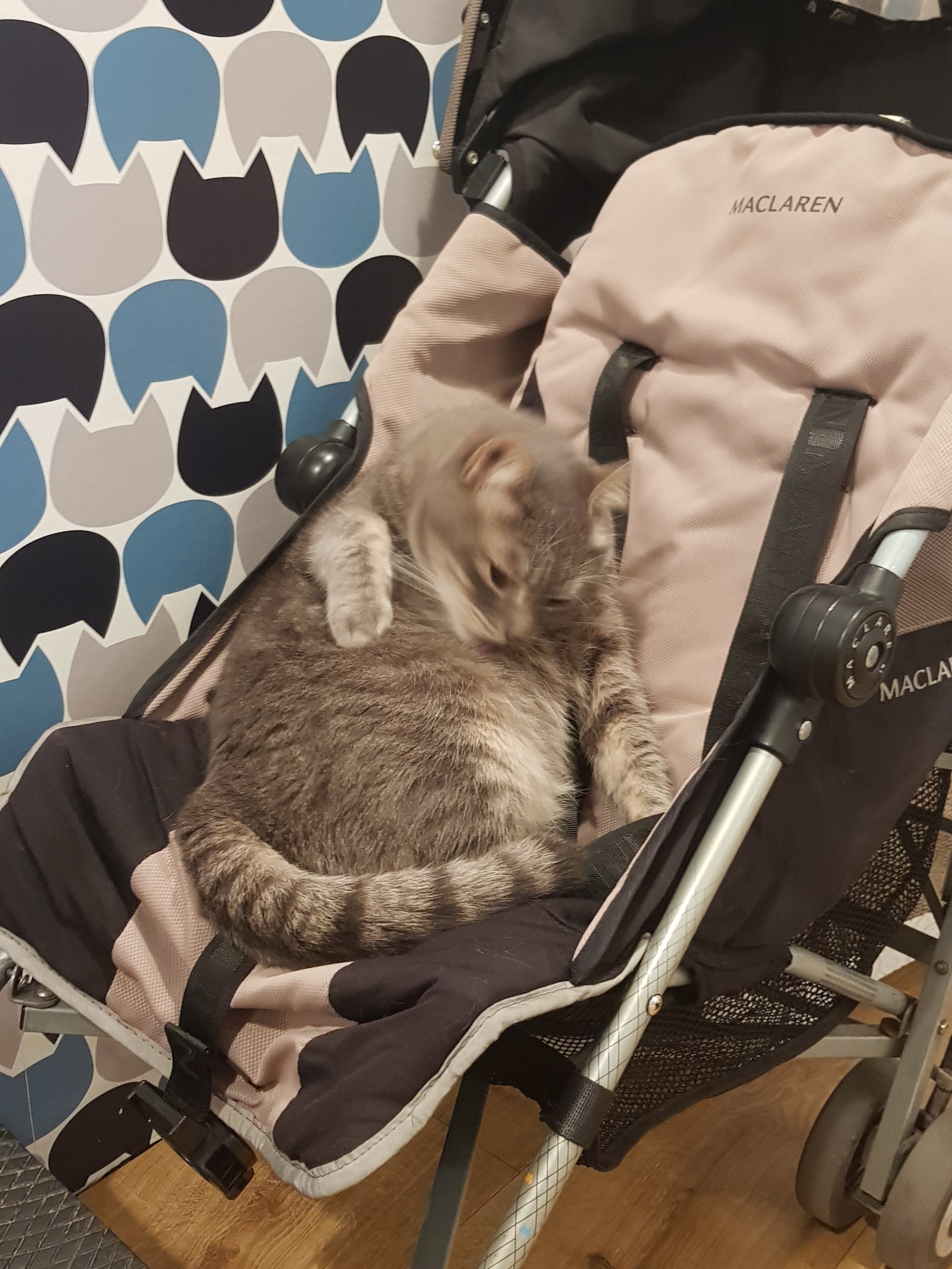 Photo n° 2 de l'avis de stephanie.u fait le 12/04/2018 à 18:18