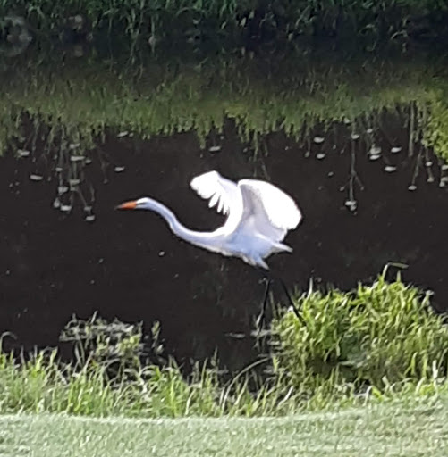 Country Club «Great Gorge Golf Course», reviews and photos, 414 County Road 517, Vernon Township, NJ 07462, USA