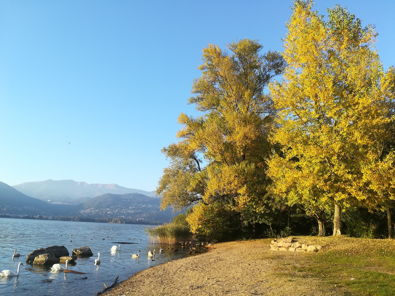 Photo of Seebad Burglen Beach and the settlement