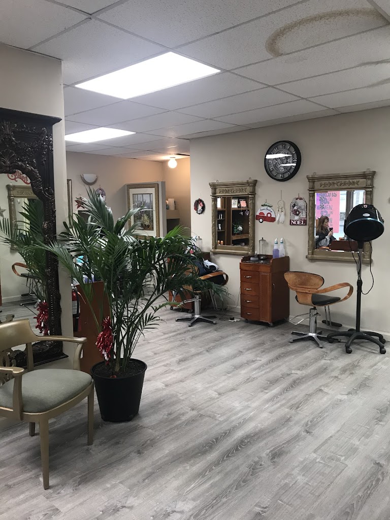 Dream Salon 11779