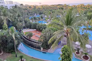 Playa Vidanta Nuevo Vallarta image