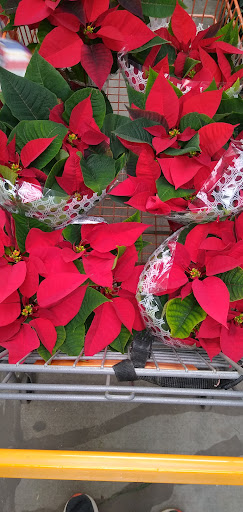 Home Improvement Store «The Home Depot», reviews and photos, 7001 Crestwood Blvd #1300, Birmingham, AL 35210, USA