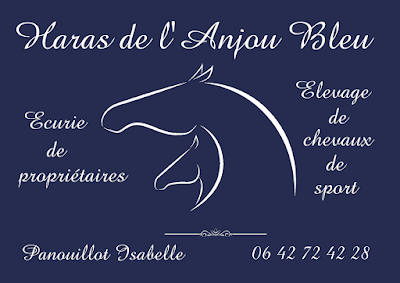 Haras de l'Anjou Bleu à Segré-en-Anjou Bleu