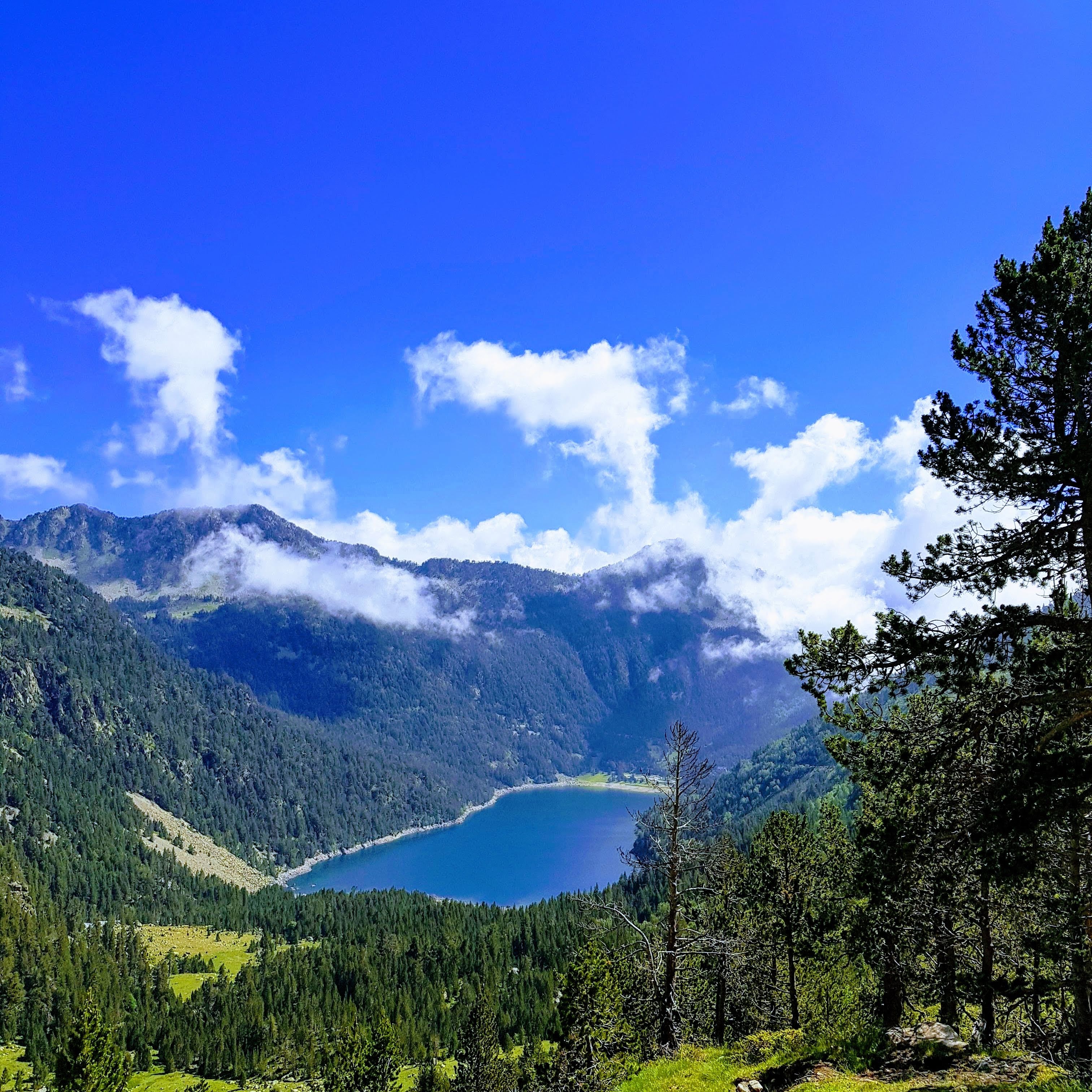 Photo n° 14 de l'avis de albert.u fait le 10/07/2019 à 13:10