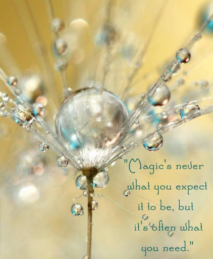 Jewelry Store «Armen & Joseph Jewelers», reviews and photos, 6525 Sugarloaf Pkwy, Duluth, GA 30097, USA