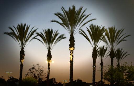 Shopping Mall «La Jolla Village Square», reviews and photos, 8657 Villa La Jolla Dr, La Jolla, CA 92037, USA