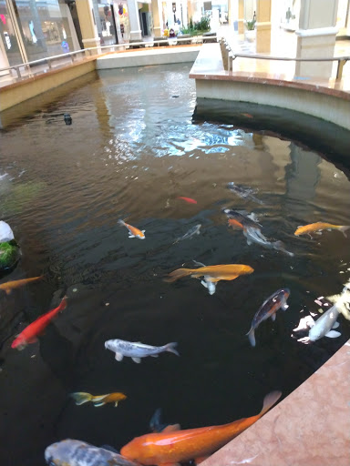 Department Store «Sears», reviews and photos, 800 Sunrise Mall, Massapequa, NY 11758, USA