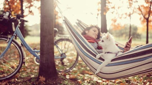 Cell Phone Store «Verizon Authorized Retailer - Wireless Zone», reviews and photos, 578 Milltown Rd, North Brunswick Township, NJ 08902, USA