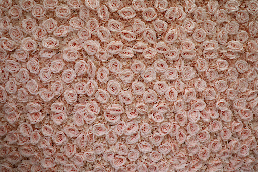 Bridal Shop «RashawnRose Bridal and Prom», reviews and photos, 12920 W State Rd 84, Fort Lauderdale, FL 33325, USA