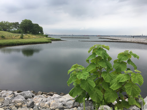 Park «Bush Terminal Piers Park», reviews and photos, Marginal St. & 43rd Street, Brooklyn, NY 11232, USA