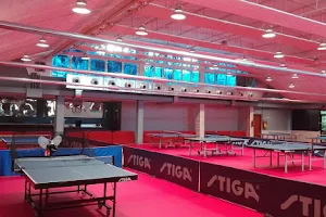 Ping Pong Milano TennsTavolo Silver Lining ASD image