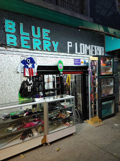 Blueberry Shop