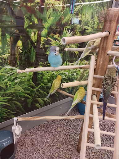 Pet Supply Store «Petco Animal Supplies», reviews and photos, 660 Chestnut Commons Dr, Elyria, OH 44035, USA