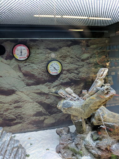 Pet Supply Store «Petco Animal Supplies», reviews and photos, 4139 US Hwy 98 N, Lakeland, FL 33809, USA