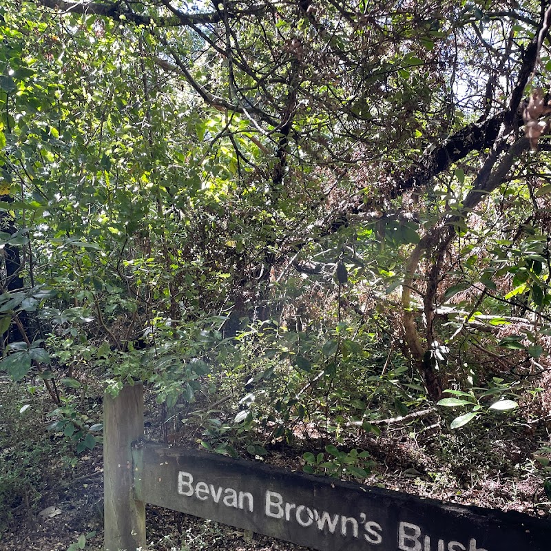 Bevan Brown's Bush