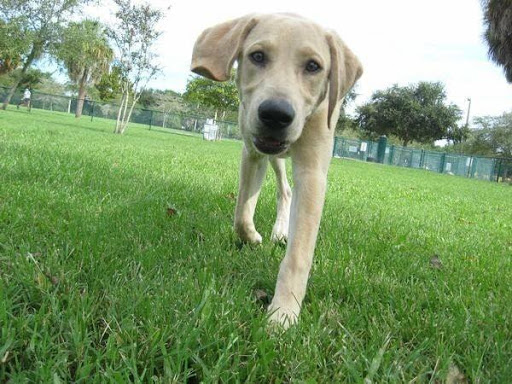 Law Firm «Hancock Law Firm, PLLC», reviews and photos