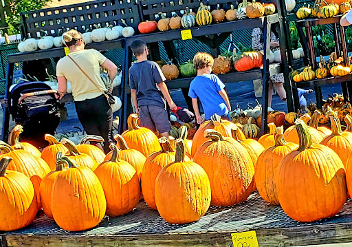 Garden Center «Dees Nursery & Florist», reviews and photos, 69 Atlantic Ave, Oceanside, NY 11572, USA