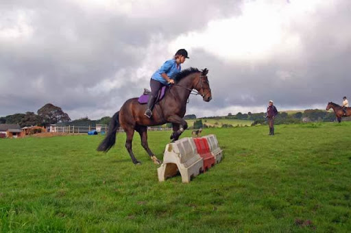 Marcroft Riding Stables