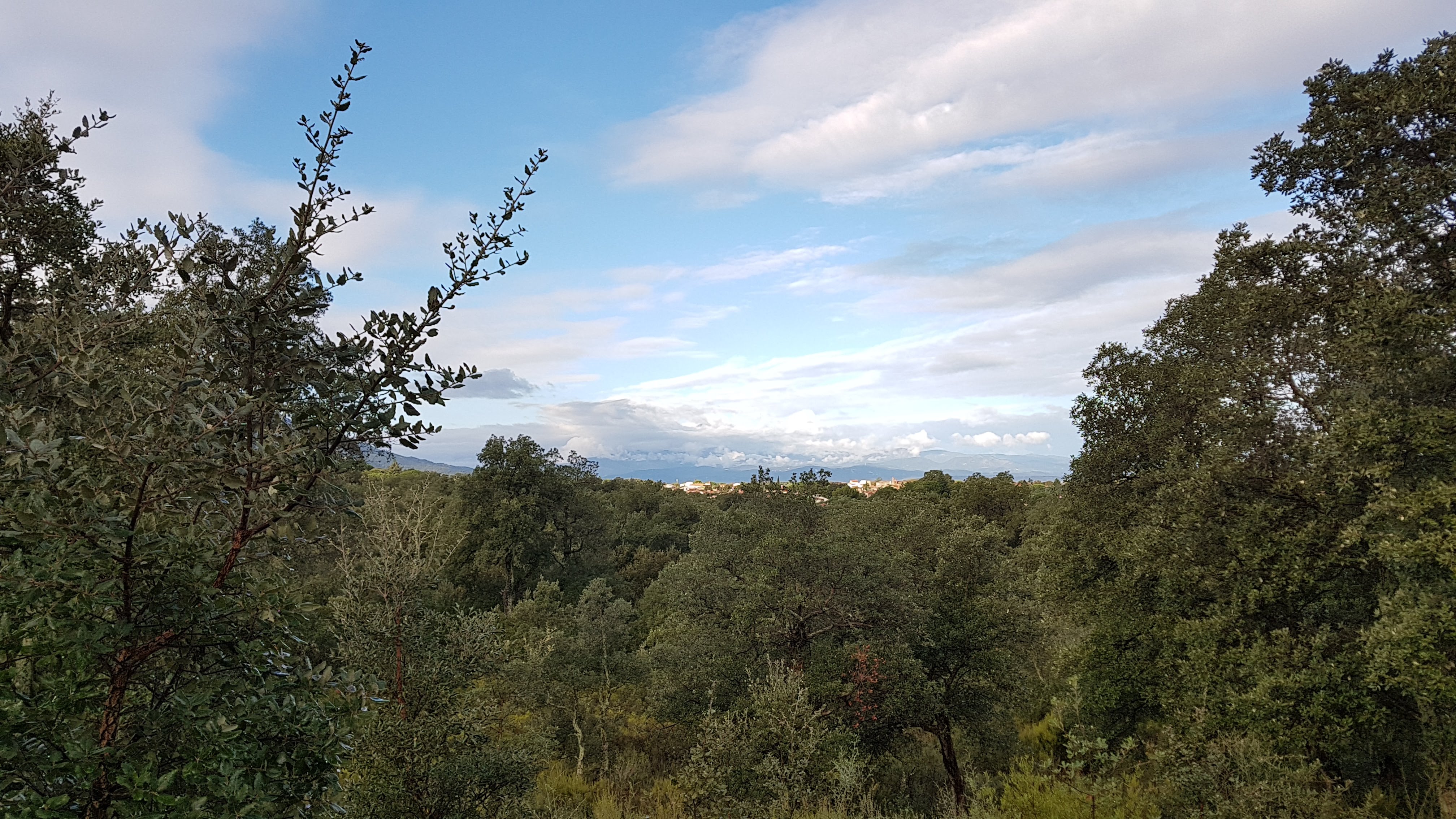 Photo n° 10 de l'avis de Stefano.o fait le 16/10/2020 à 09:45