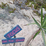 Photo n°1 de l'avis de Noha.a fait le 18/08/2023 à 18:40 sur le  Meraki - Praia Velha | São Pedro de Moel à Marinha Grande