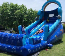 Brincolines ambar photo