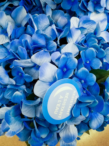 Craft Store «Michaels», reviews and photos, 1414 Spring Meadows Dr, Holland, OH 43528, USA