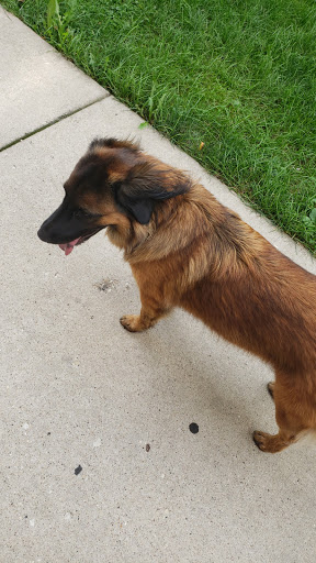 Dog Park «Portage Dog Friendly Area», reviews and photos, 4100 N Long Ave, Chicago, IL 60641, USA