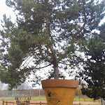 Photo n°7 de l'avis de Eduardo.a fait le 05/01/2020 à 03:06 sur le  XXL Restaurant Waldgeist Hofheim à Hofheim