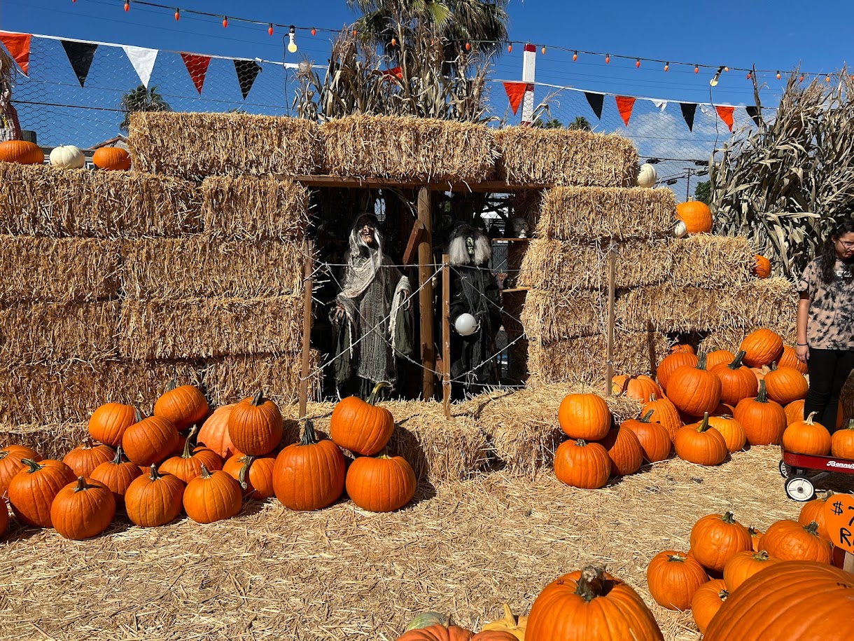 PB Pumpkin Patch