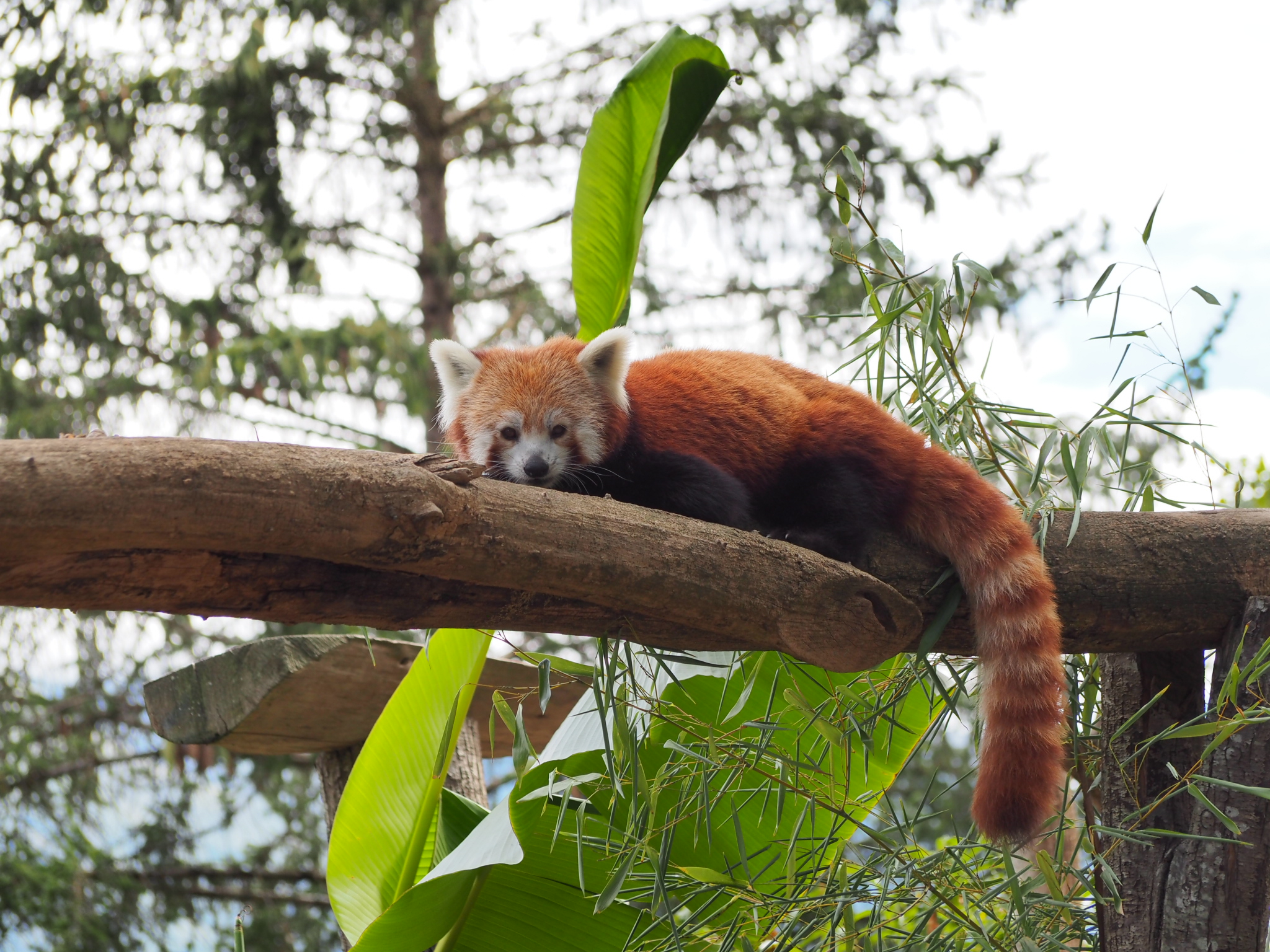 Photo n° 12 de l'avis de Carole. fait le 22/08/2022 à 21:38